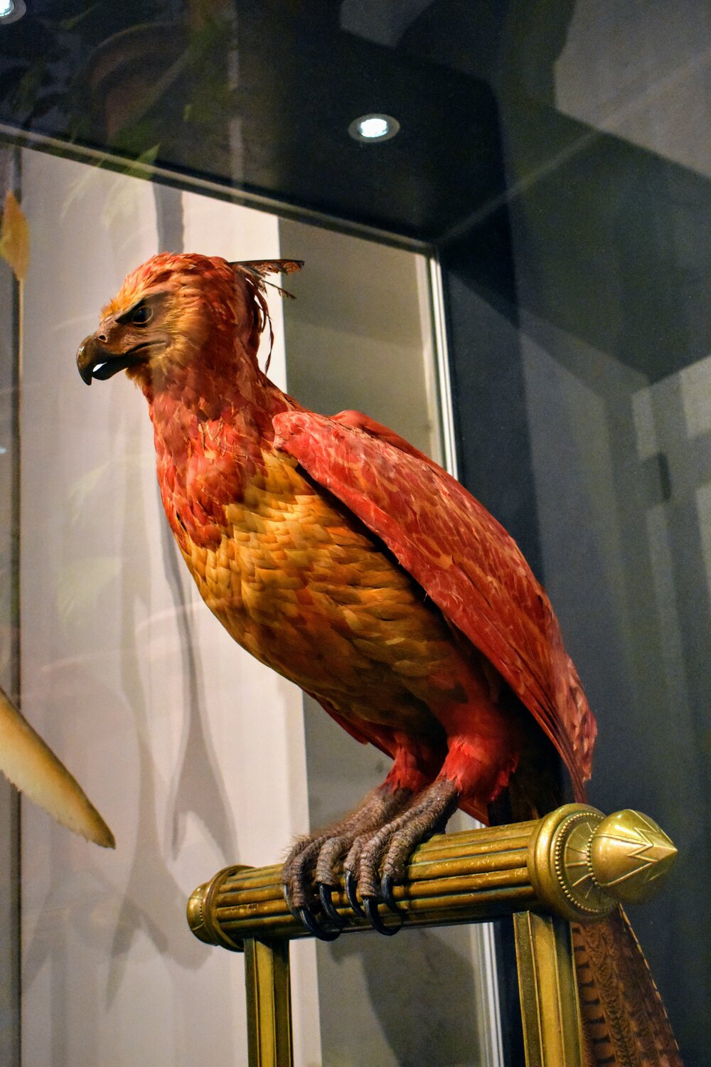 Fawkes