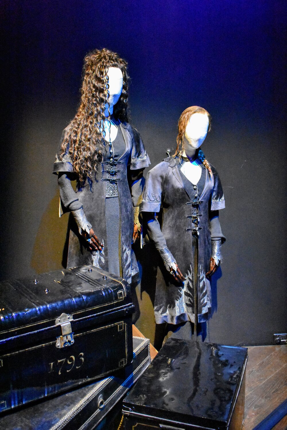 Bellatrix &amp; Hermione Costumes
