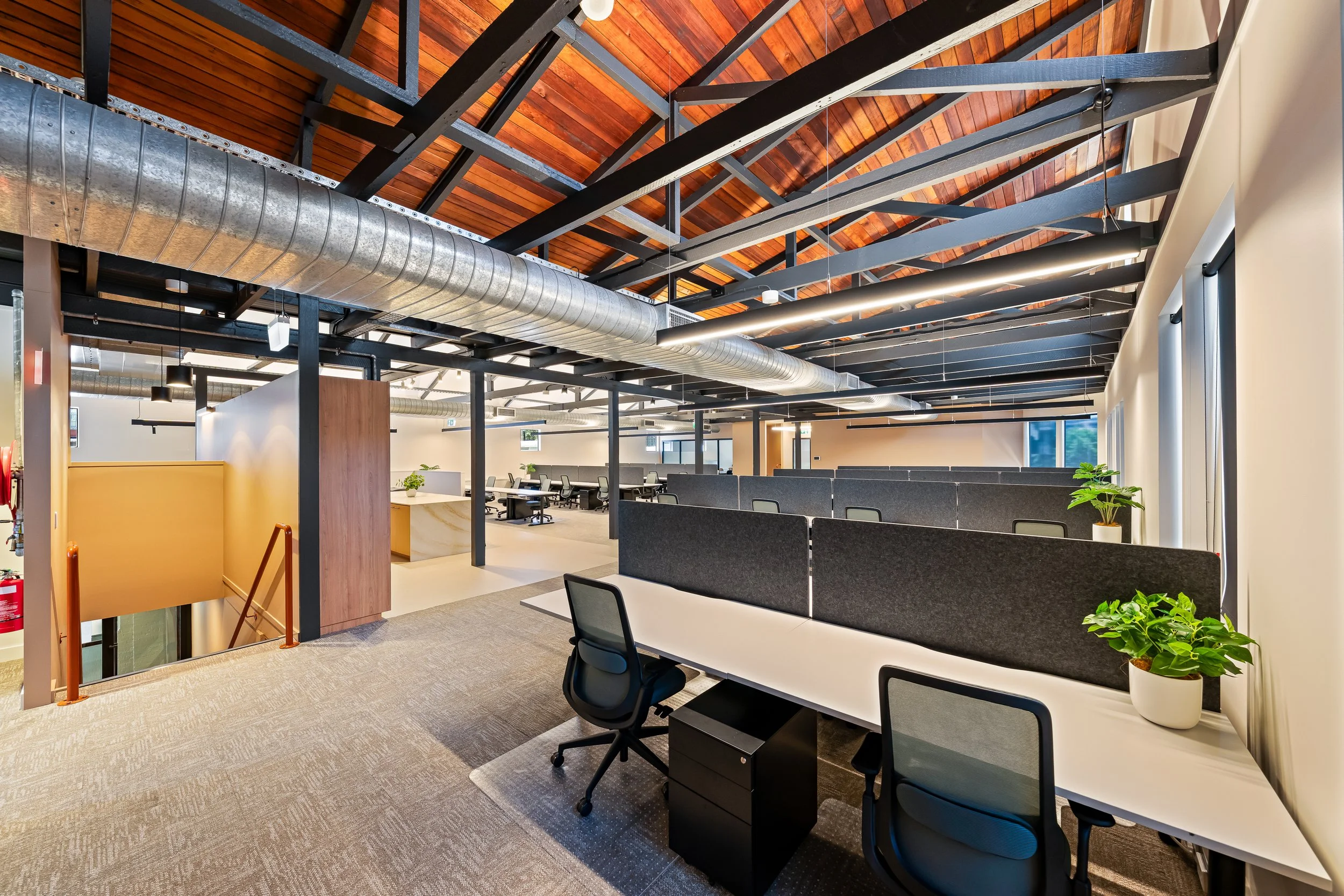 Suite4-1.jpg