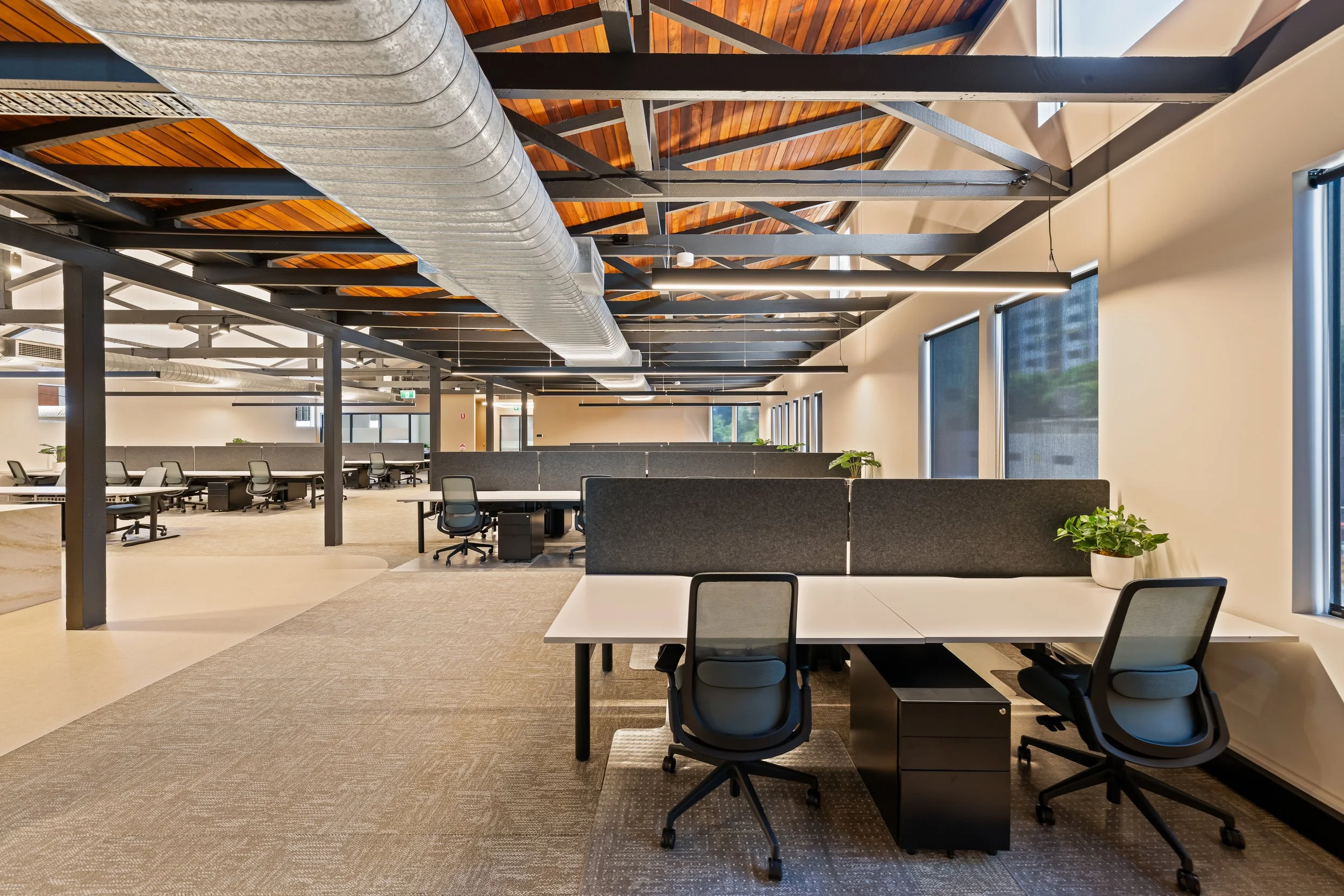 Suite4-14.jpg