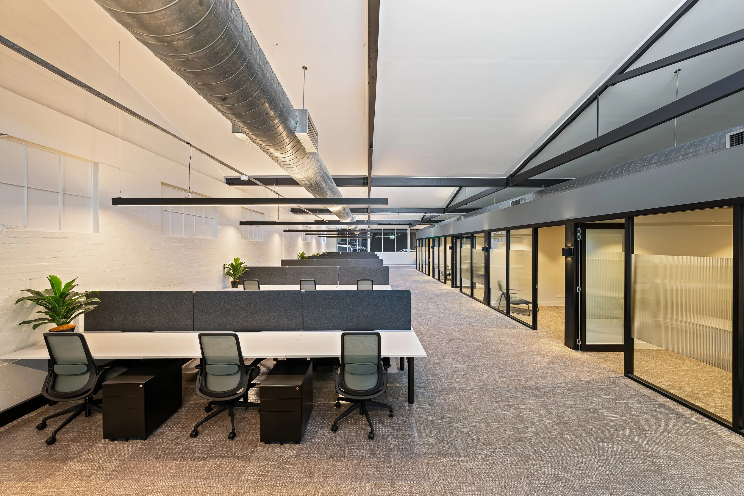 Suite2-1.jpg