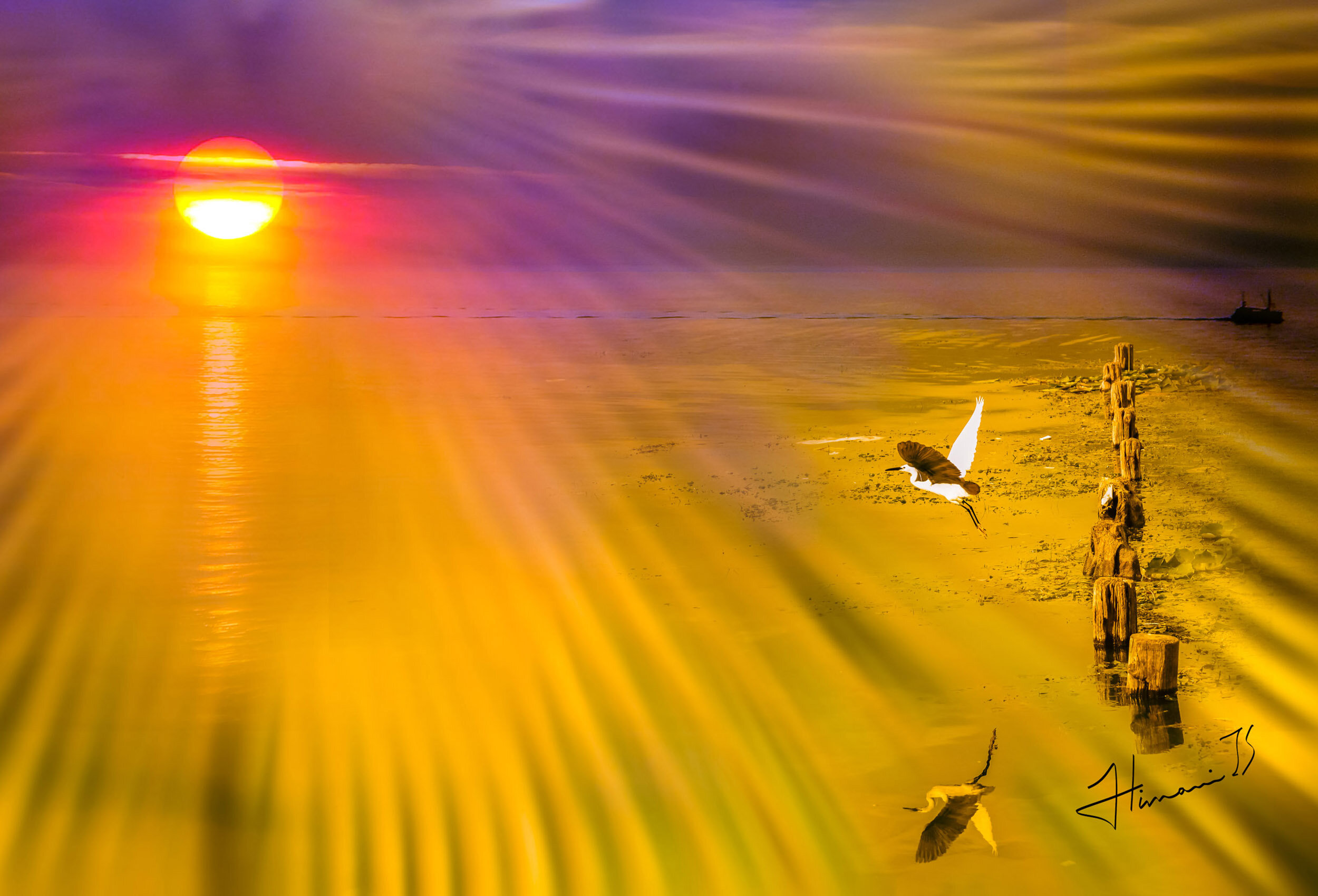 yearning to fly - stretched canvas