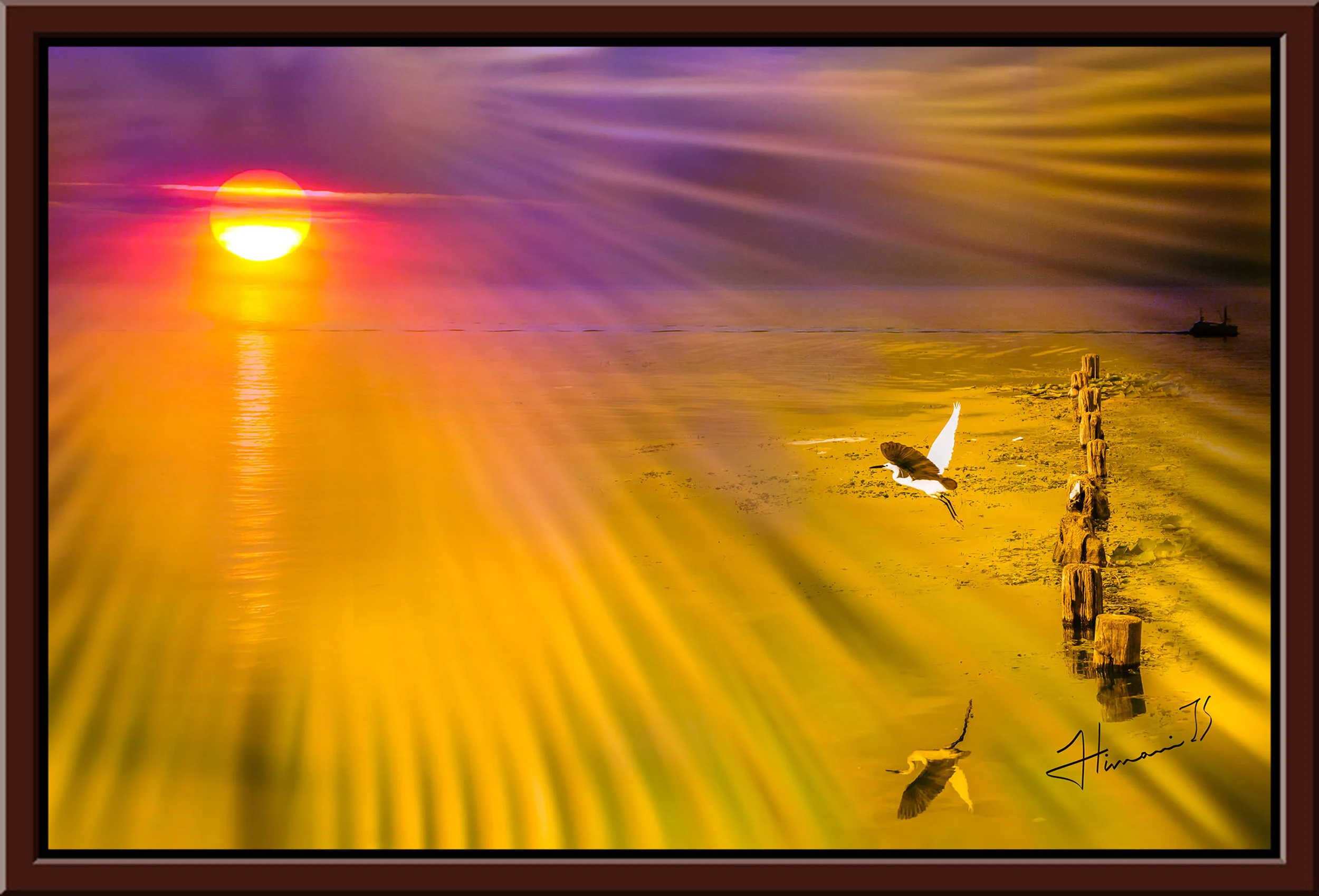 yearning to fly - stretched canvas (with shadow box frame)
