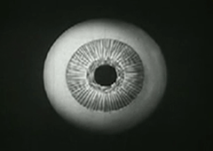 eye clip resized .gif