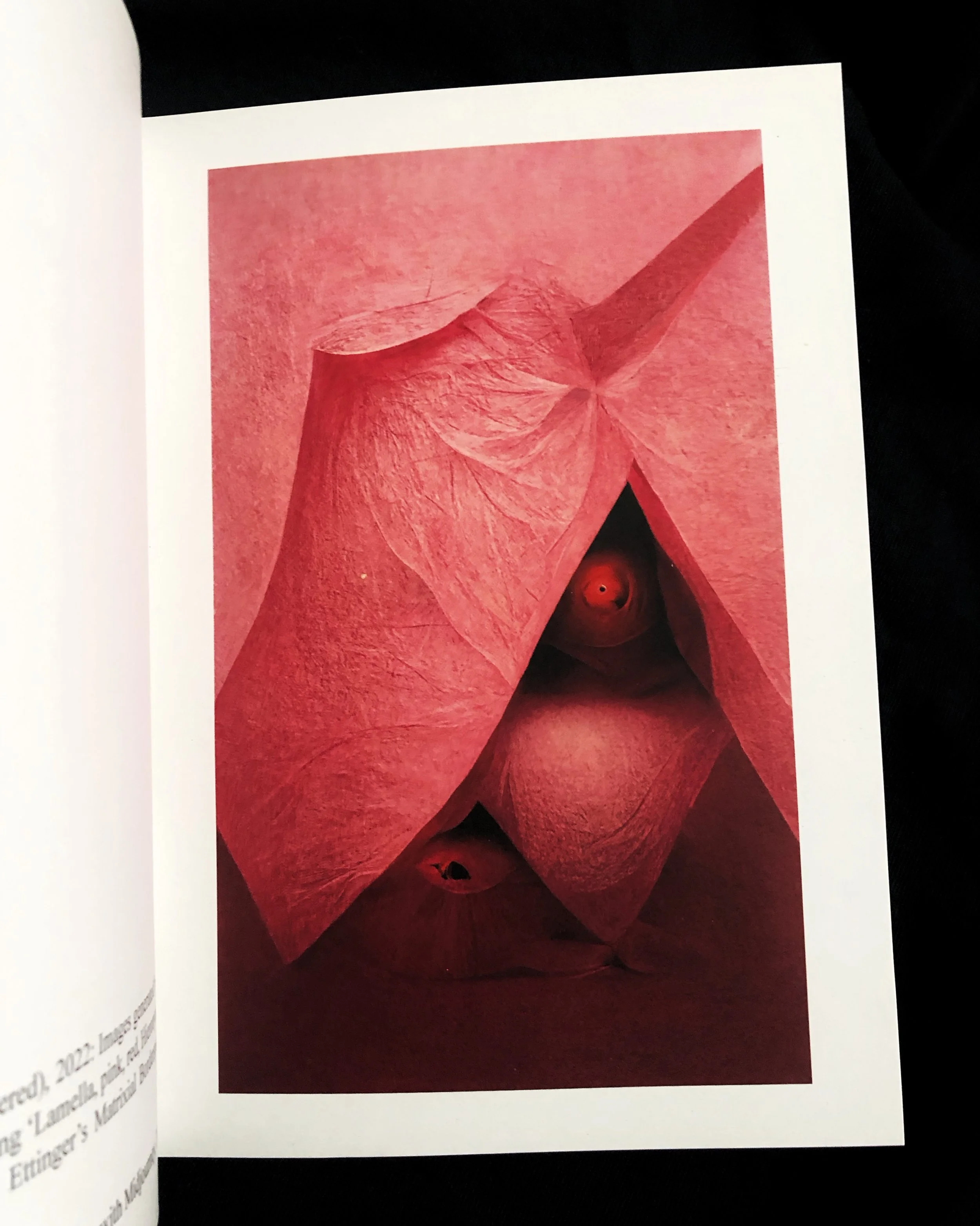 JPEG image-843EE7BB3E62-1.jpeg