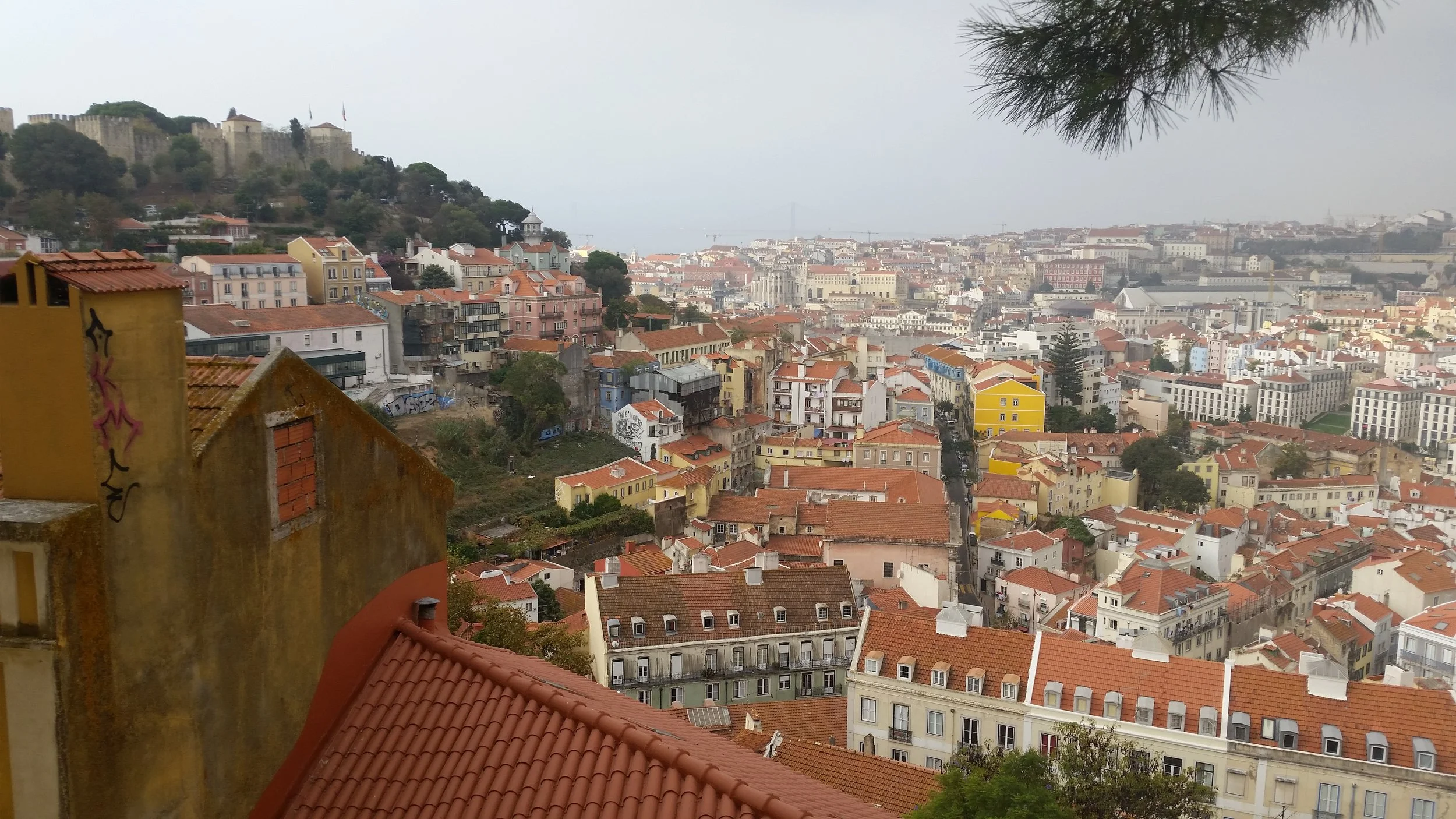 Lisbon's Heart Beats from its Back Streets - The West Australian 