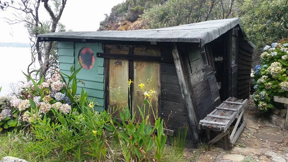 Manly's Scenic Walkway provides chance to explore Sydney's history - The West Australian 