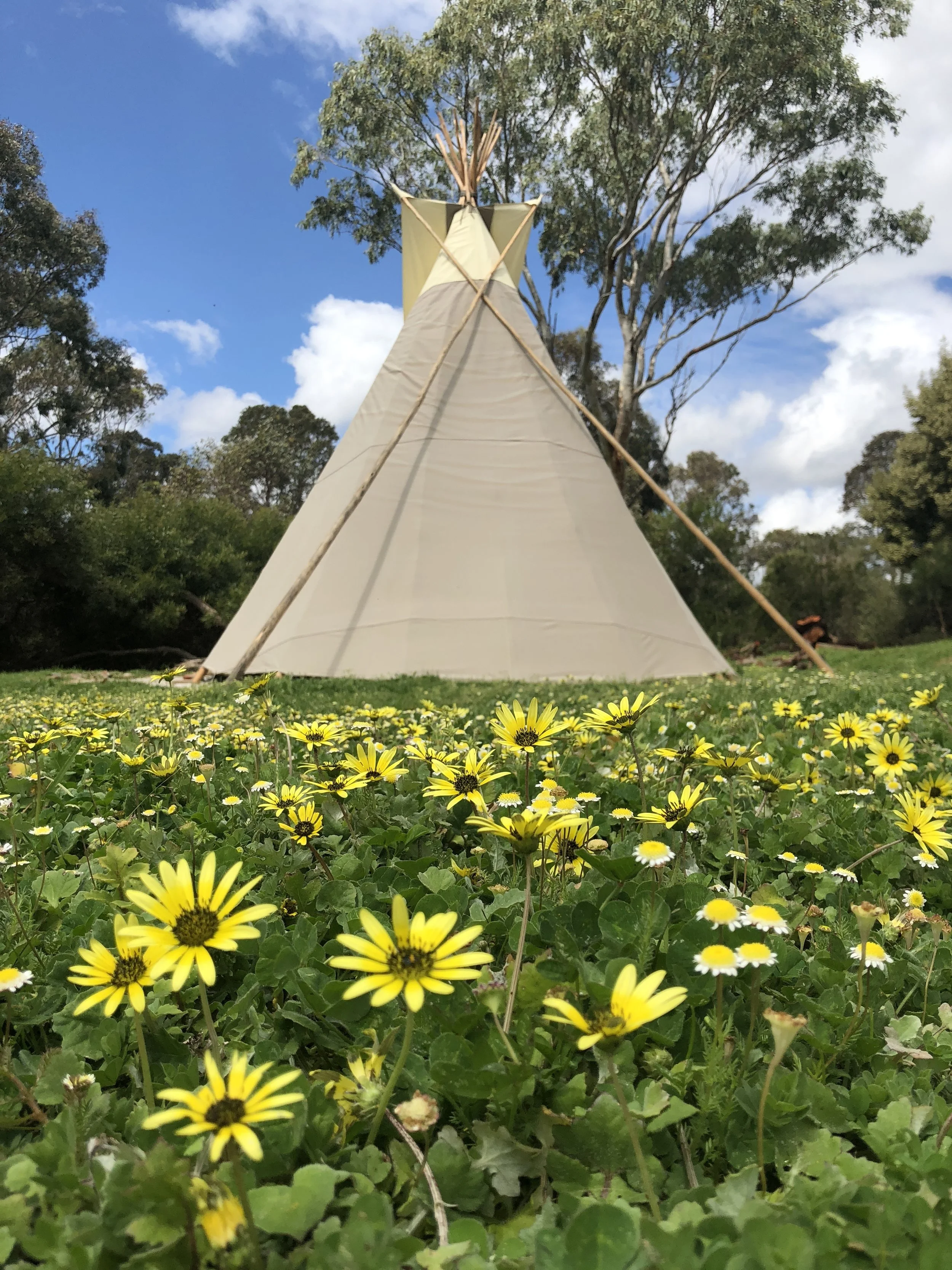 Mindful camping at Margaret River's latest eco-campsite - The West Australian 