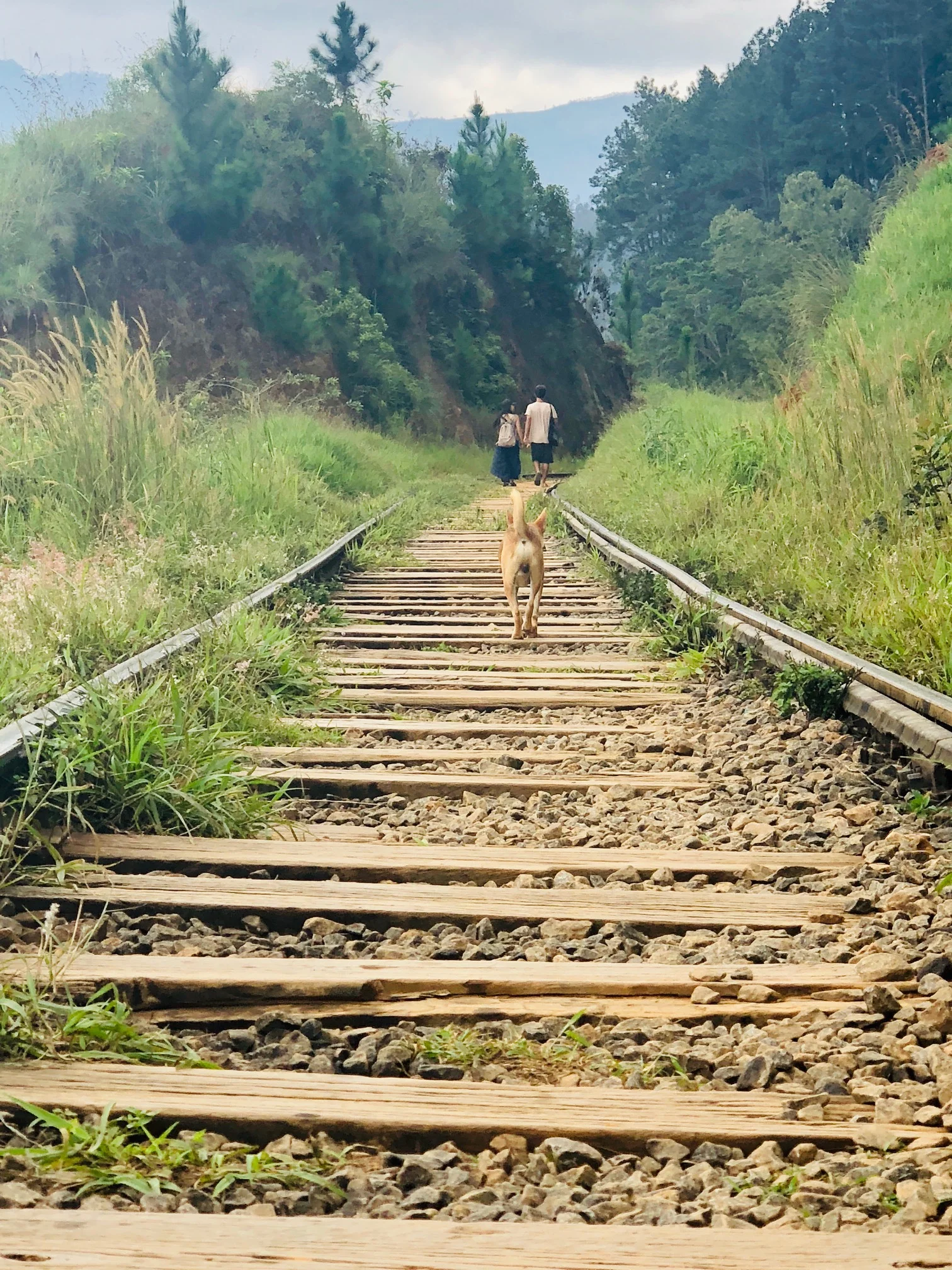 Chasing Waterfalls on Sri Lanka's Scenic Rail Ride - The West Australian 