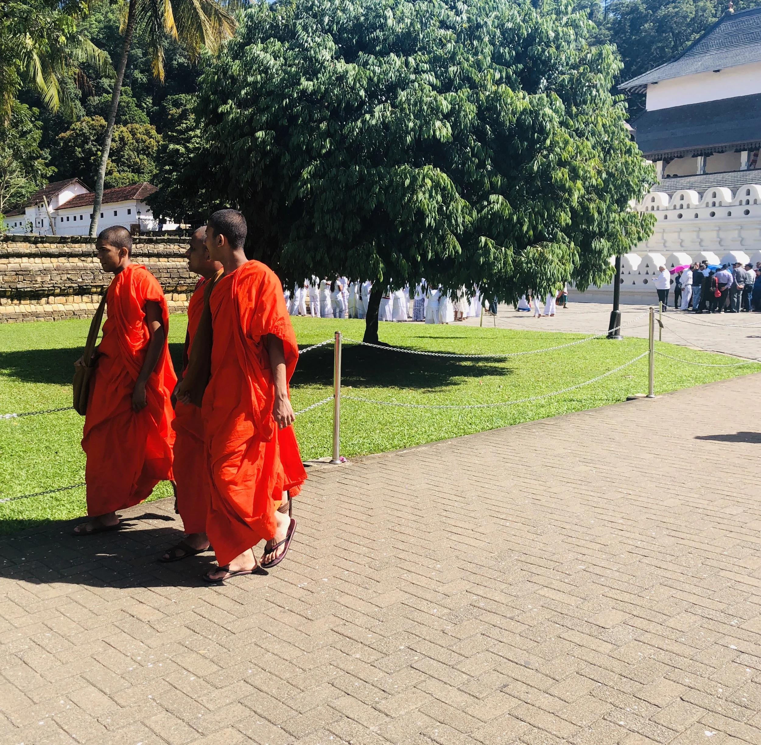 A Taste of Kandy - The West Australian 