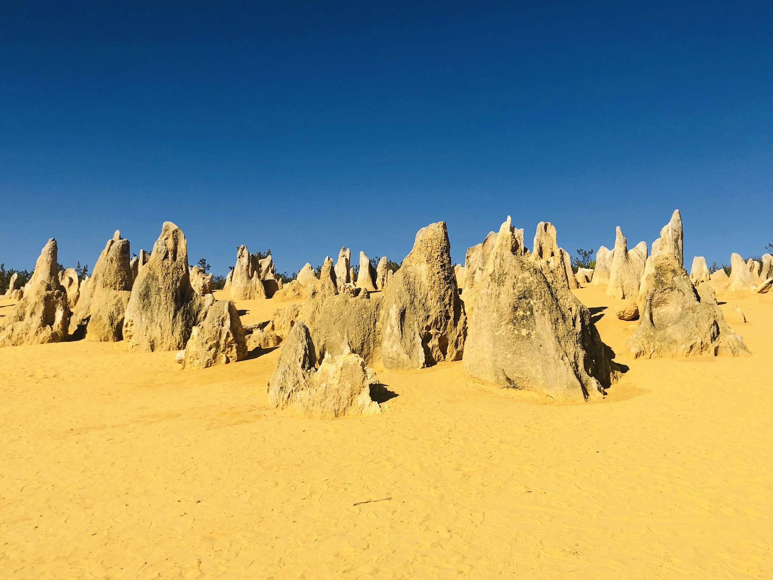 6 of the Best Day Trips from Perth - The Big Bus Tour &amp; Travel Guide 