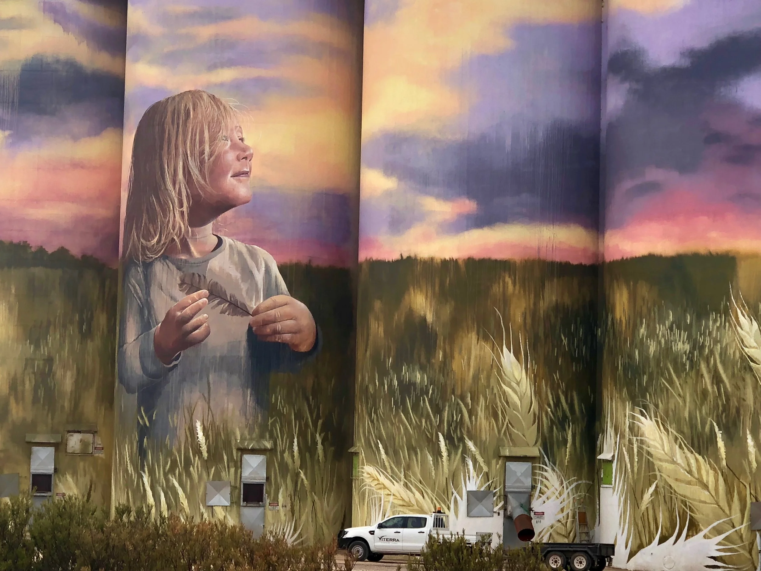 Silo art in Kimba 1.jpg