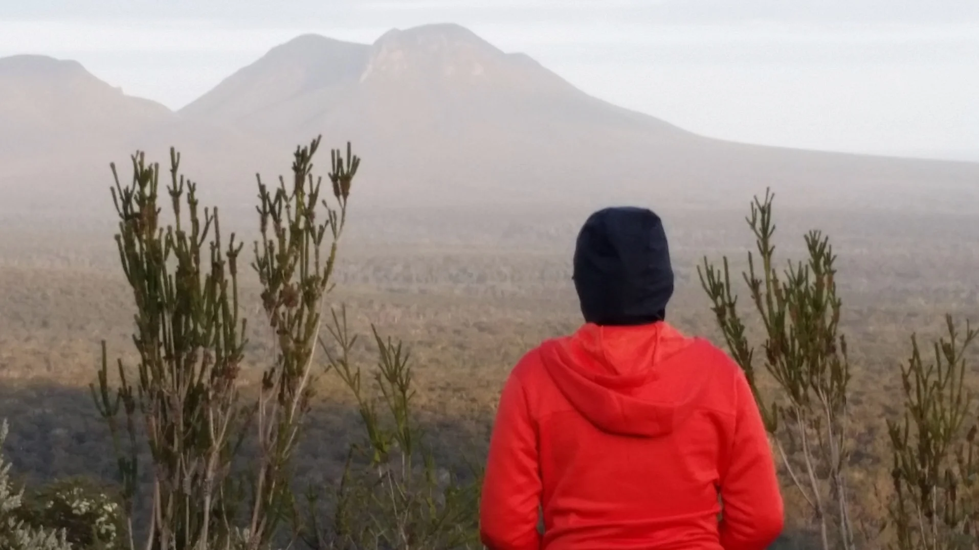 A 60,000 YEAR-OLD CURE FOR DEPRESSION - BBC TRAVEL 