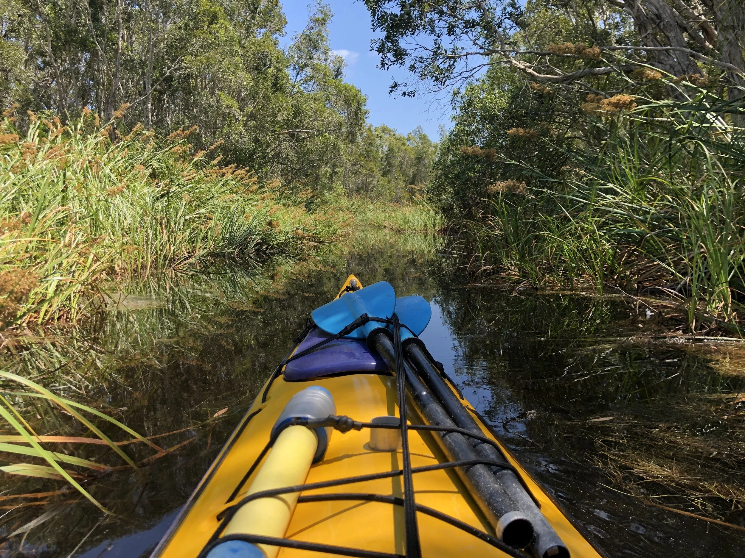 Kayaking The Australian Everglades - THE HOBART MAGAZINE 