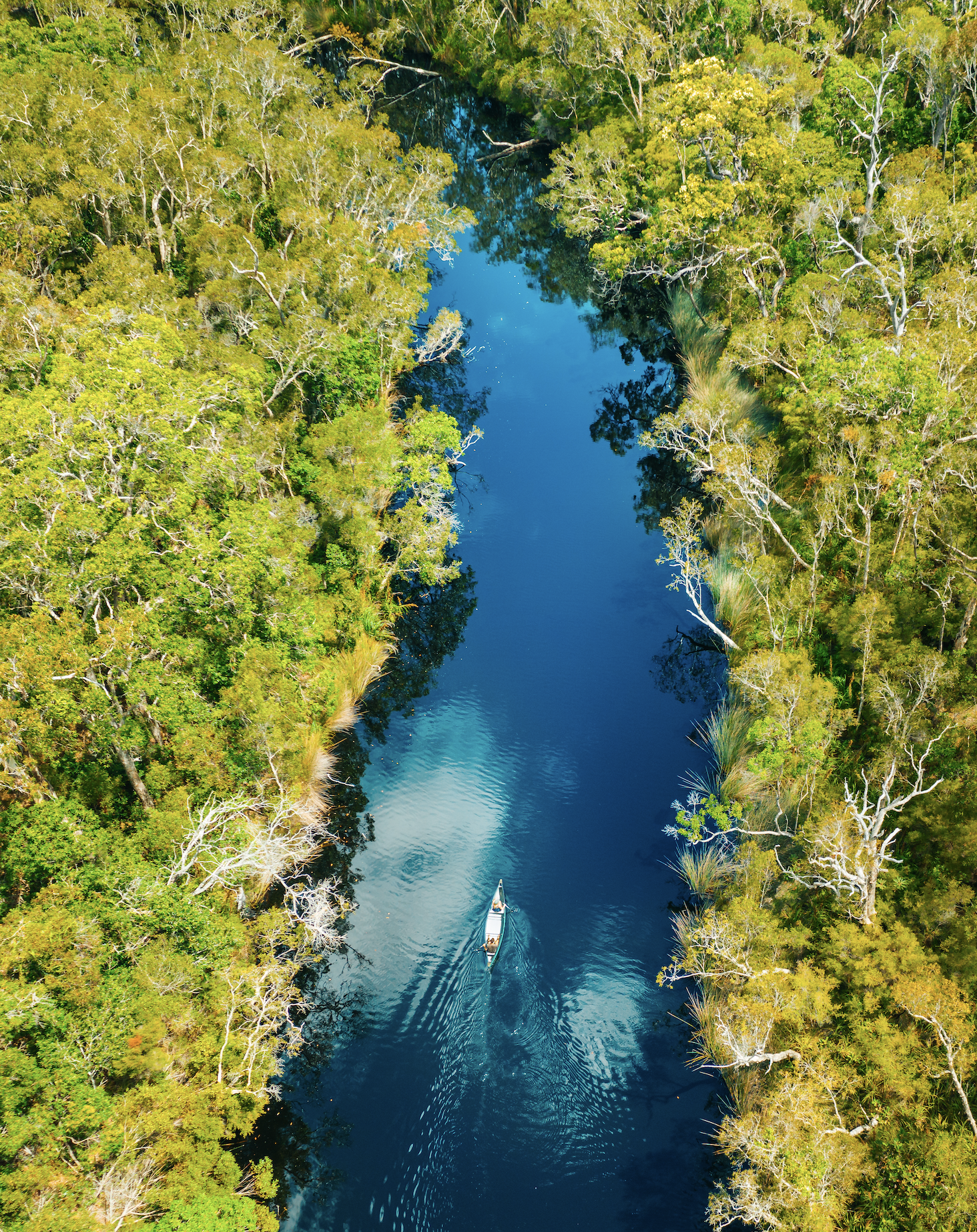 PRISTINE PADDLING IN NOOSA'S EVERGLADES - THE WEST AUSTRALIAN