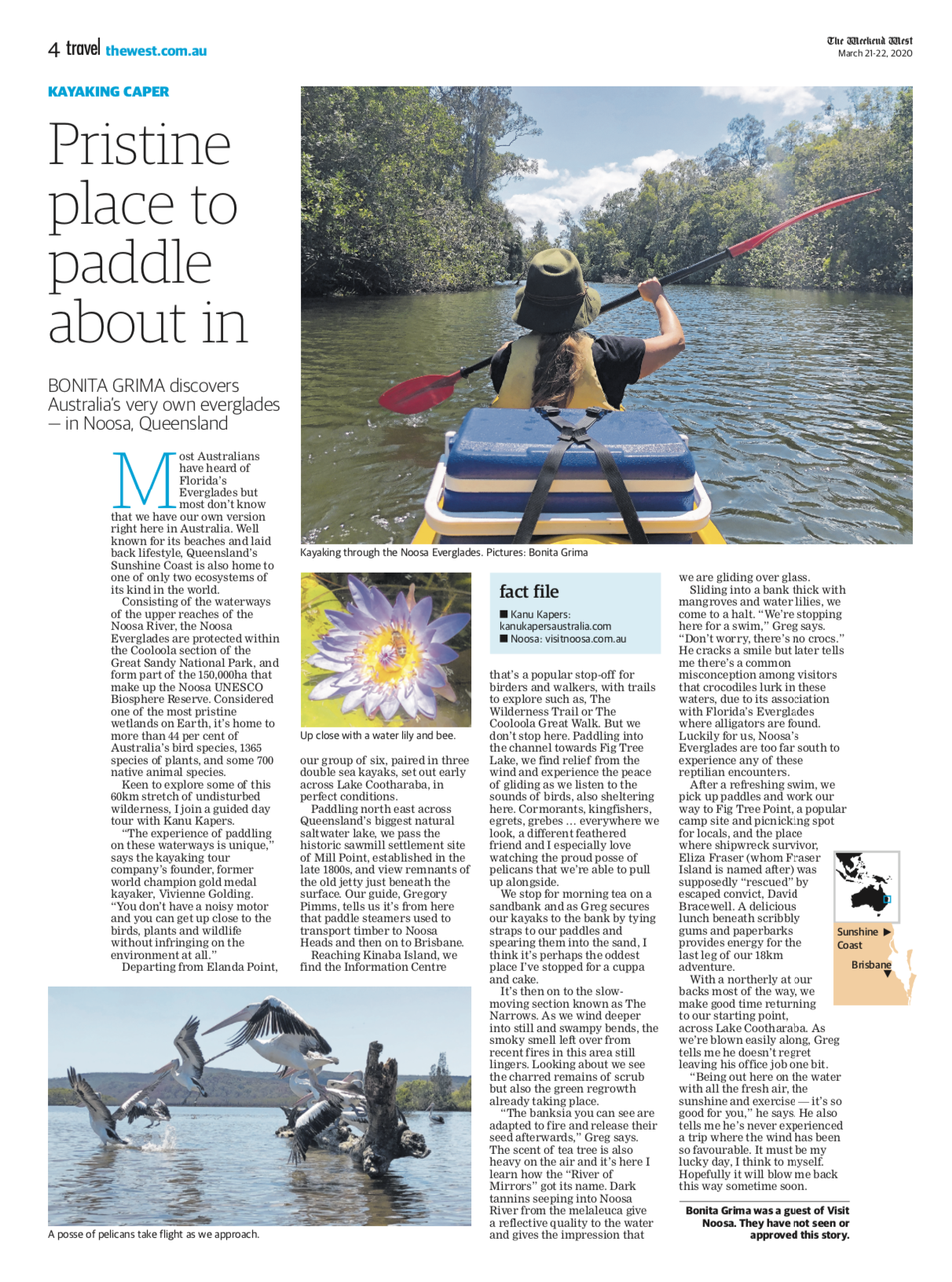 Noosa Everglades .png