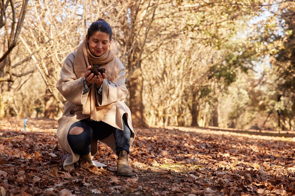 EARTHLY DELIGHTS IN WA'S SOUTHERN FORESTS &amp; VALLEYS - AUSTRALIAN TRAVELLER MAGAZINE