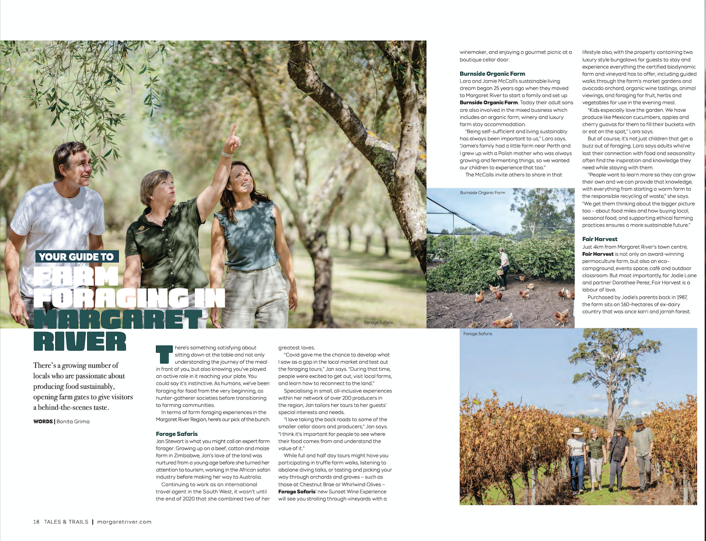 Your guide to foraging in Margaret River - TALES &amp; TRAILS MAGAZINE