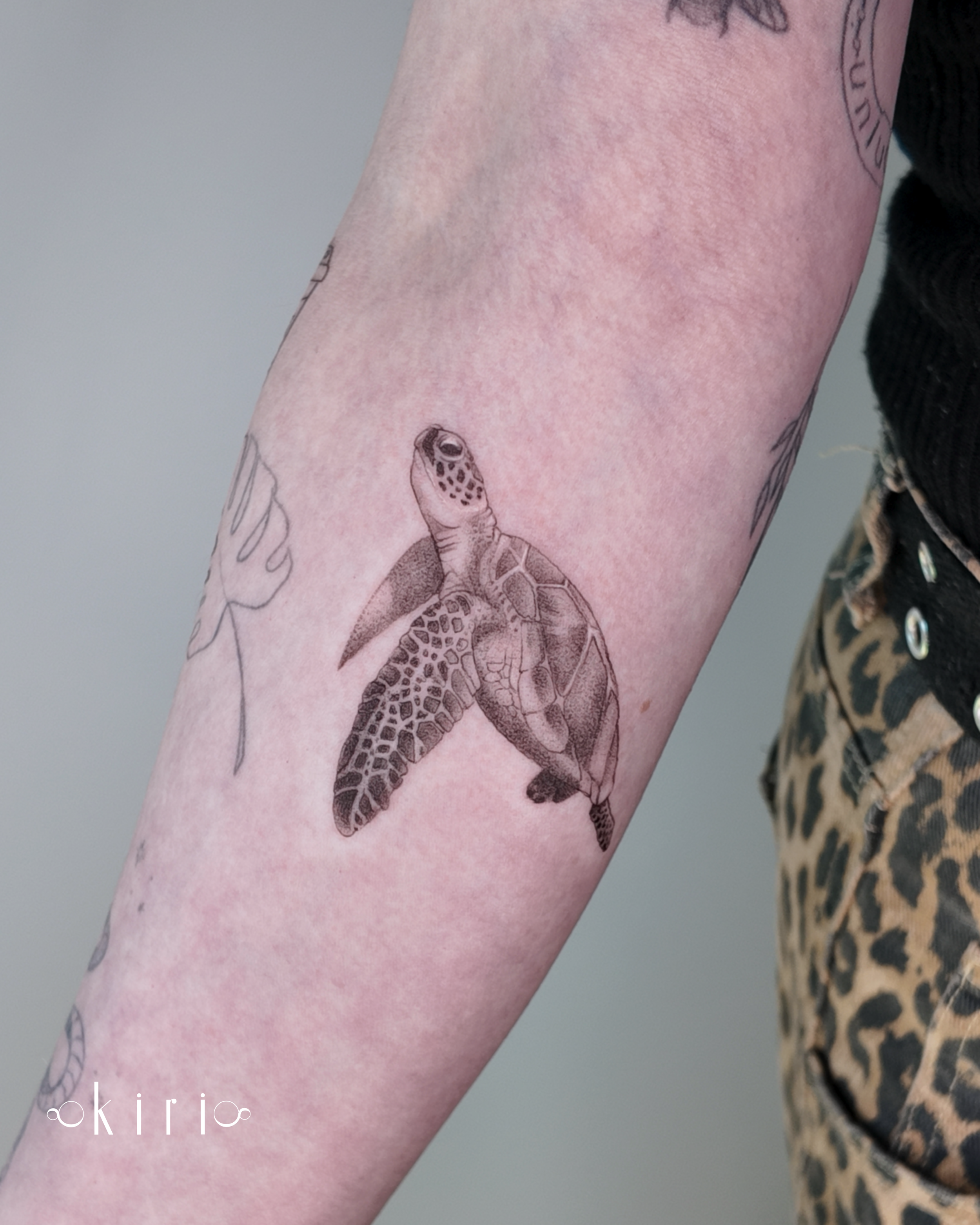 turtle-fine-line-tattoo-birmingham-uk.PNG