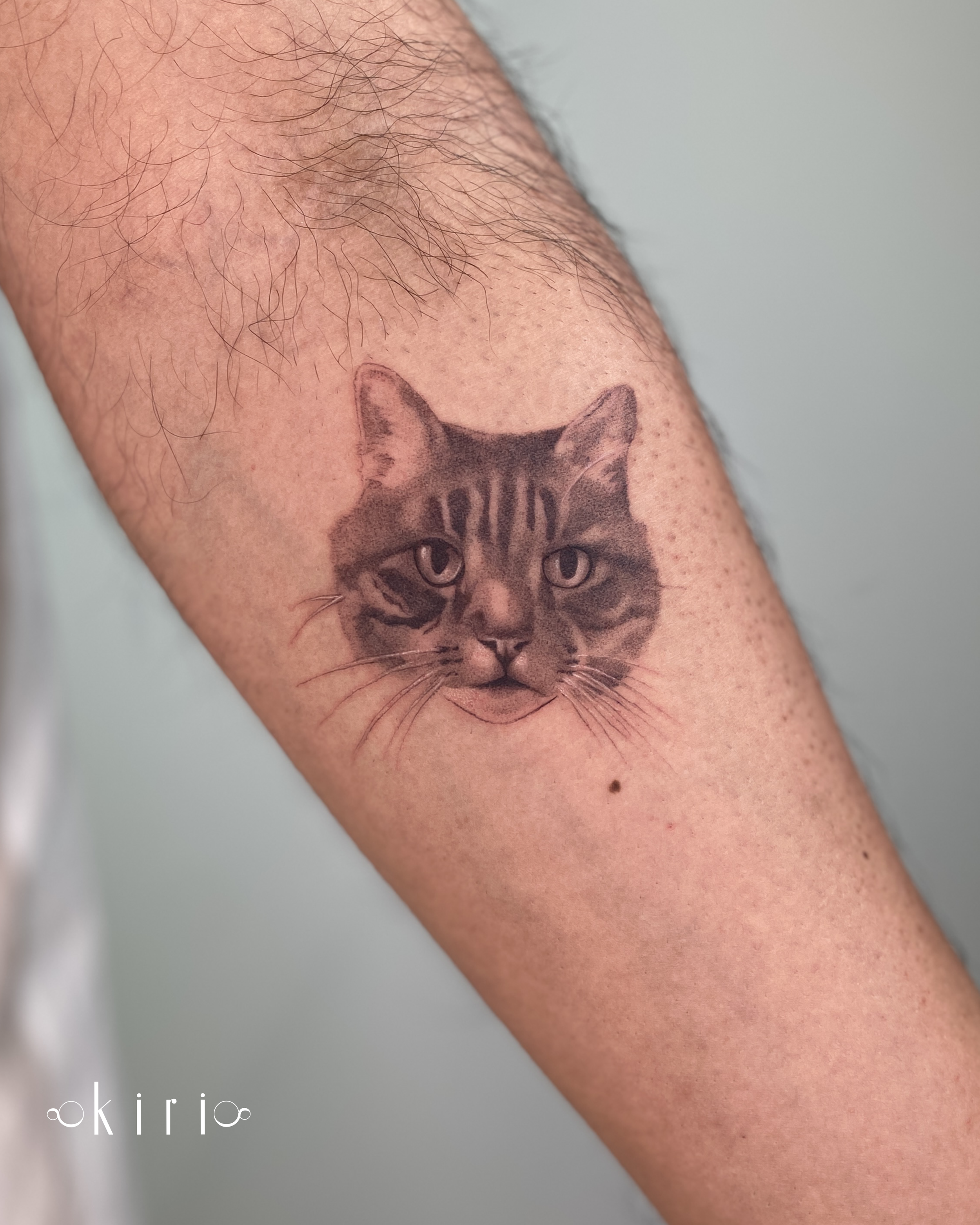 pet-cat-portrait-fine-line-tattoo-birmingham-uk.PNG