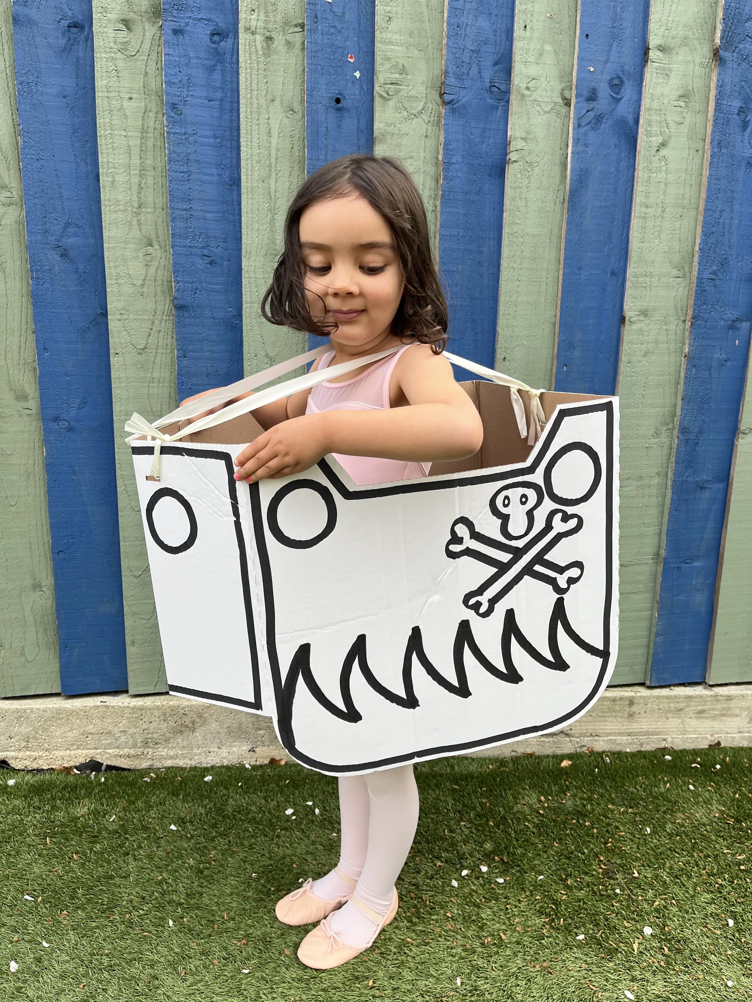 Ready Steady Sail!