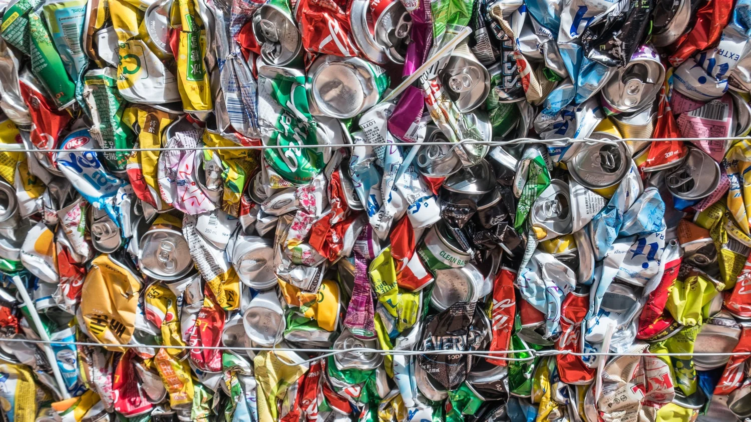 Sector Actions For Nature Business For Nature