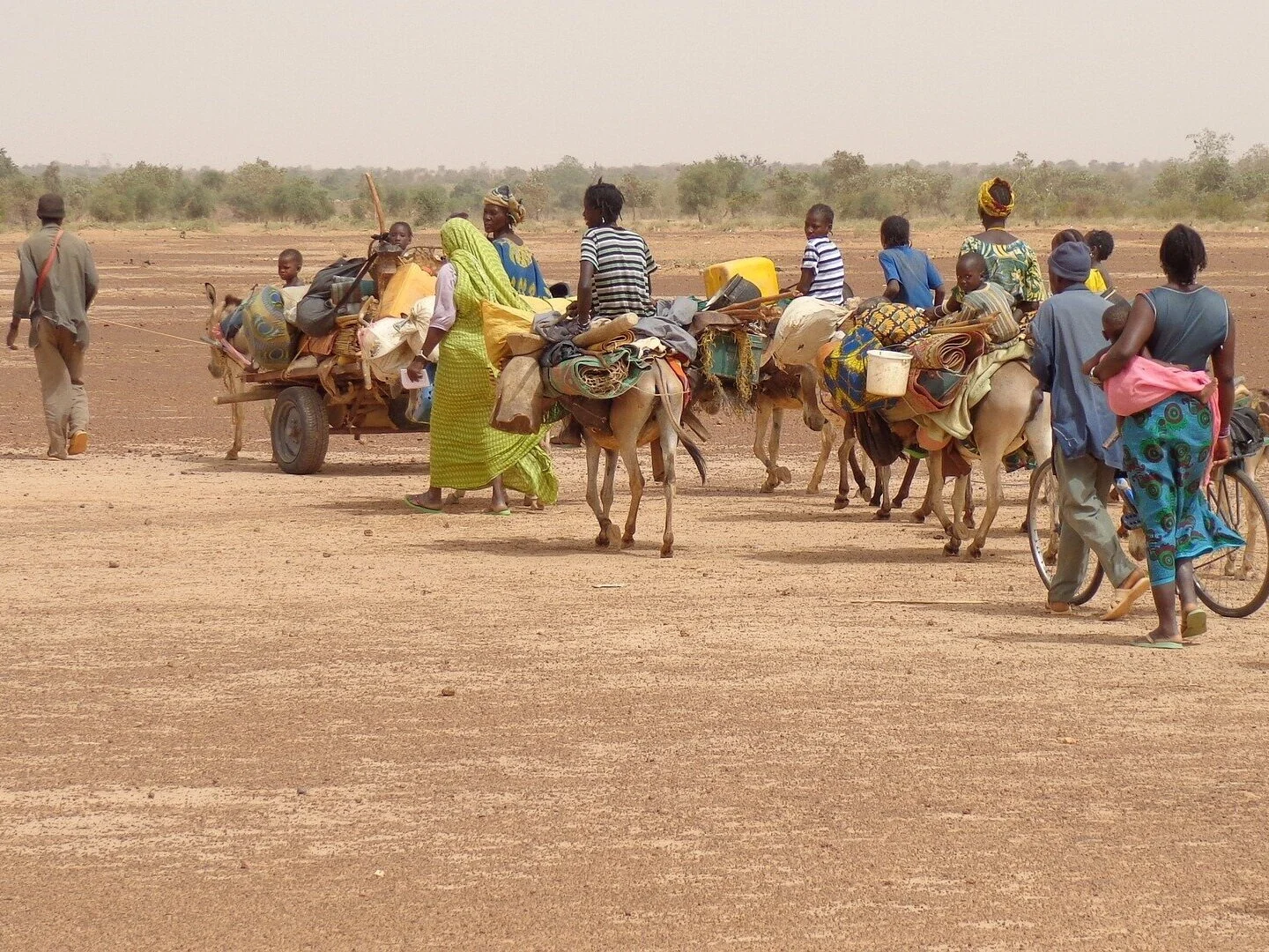 migration-2698946_1920.jpg