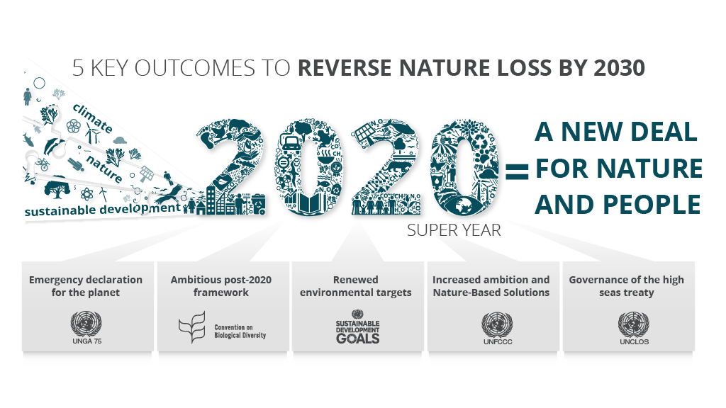 BfN_infographic-2020 -A.png