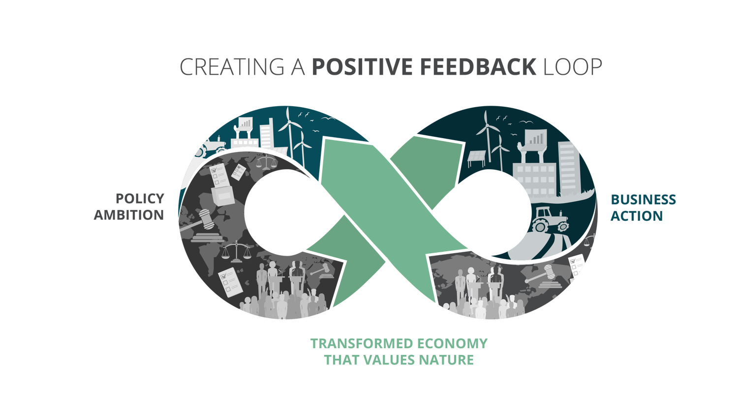 Advocating for Nature: A guide for responsible policy engagement