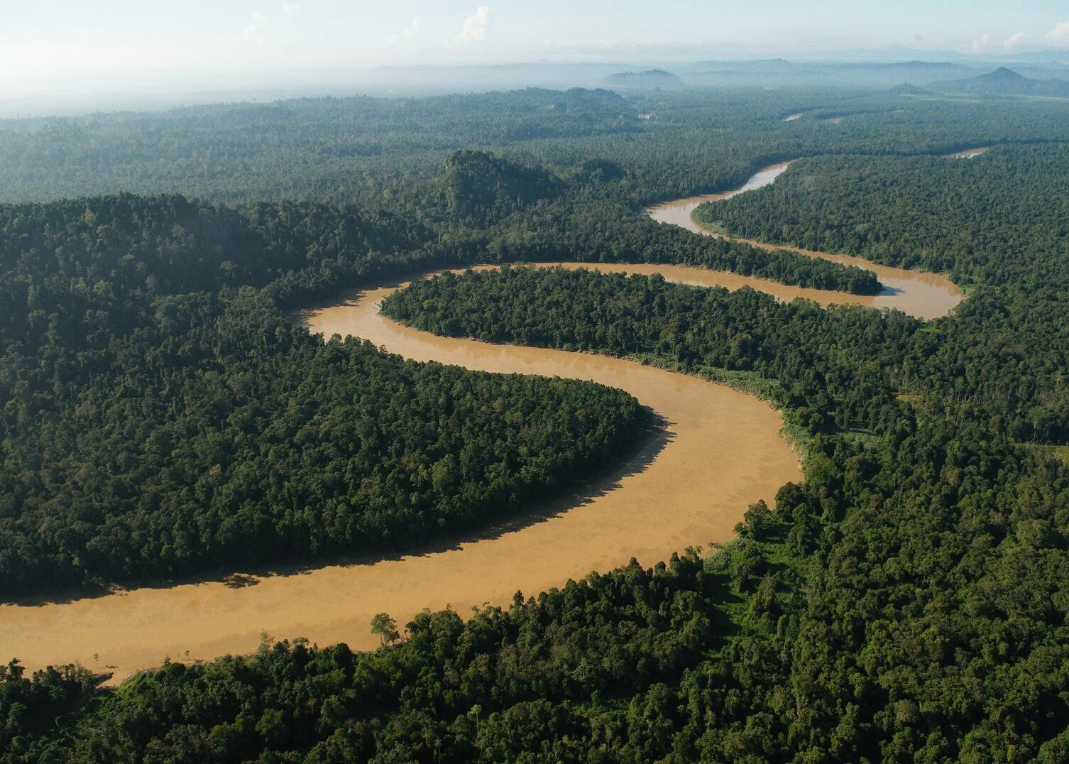 Nestlé diversifies ingredients while restoring and protecting ecosystems