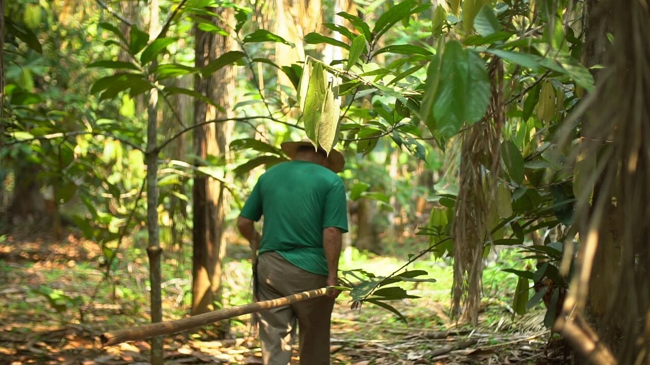 Natura remunerates communities for environmental conservation, to help protect the Amazon from deforestation