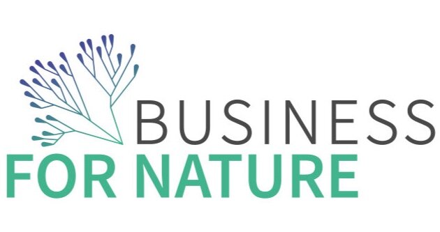 nature of business