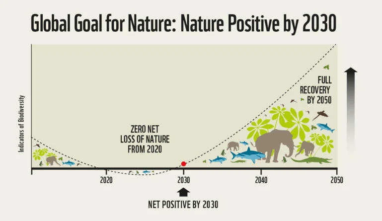 A global goal for nature embraced at the highest levels will drive ambition in governments, business and society.