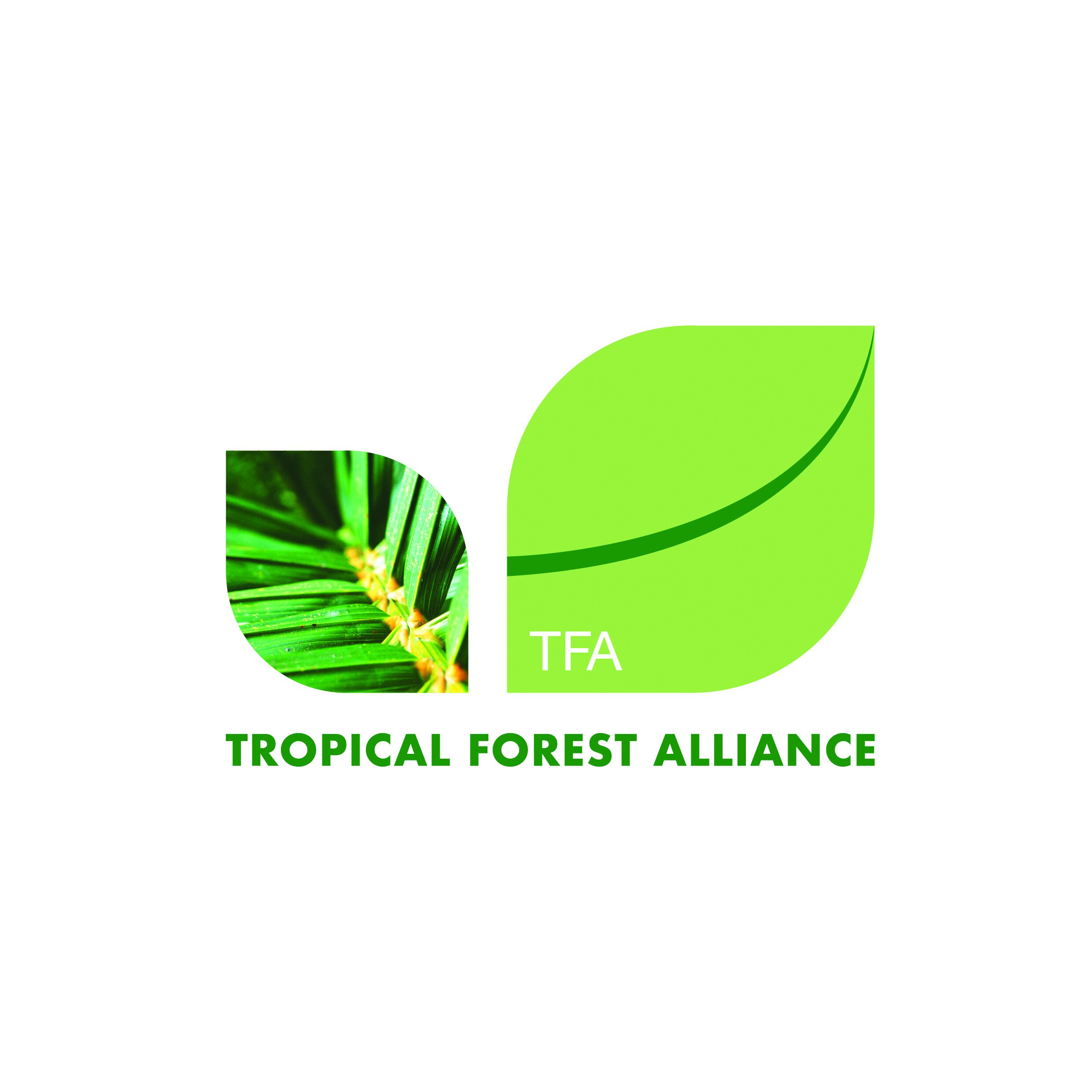 Tropical forest alliance_TFA.jpg