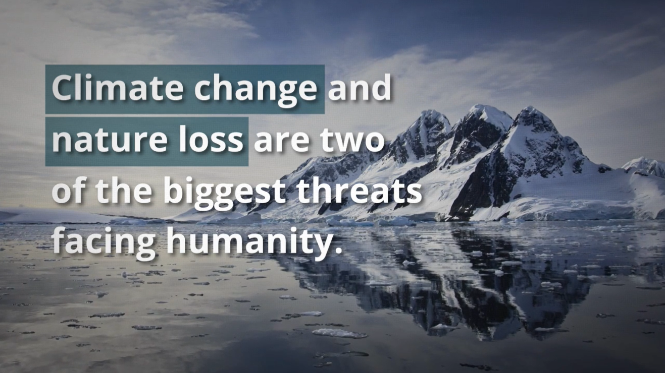 COP26: leading businesses share integrated action on climate and nature