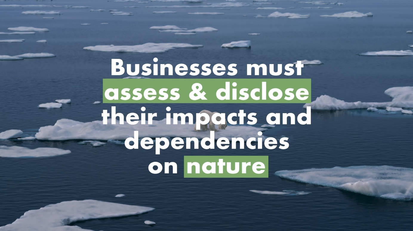 More than 330 businesses call on Heads of State to make nature assessment and disclosure mandatory at COP15