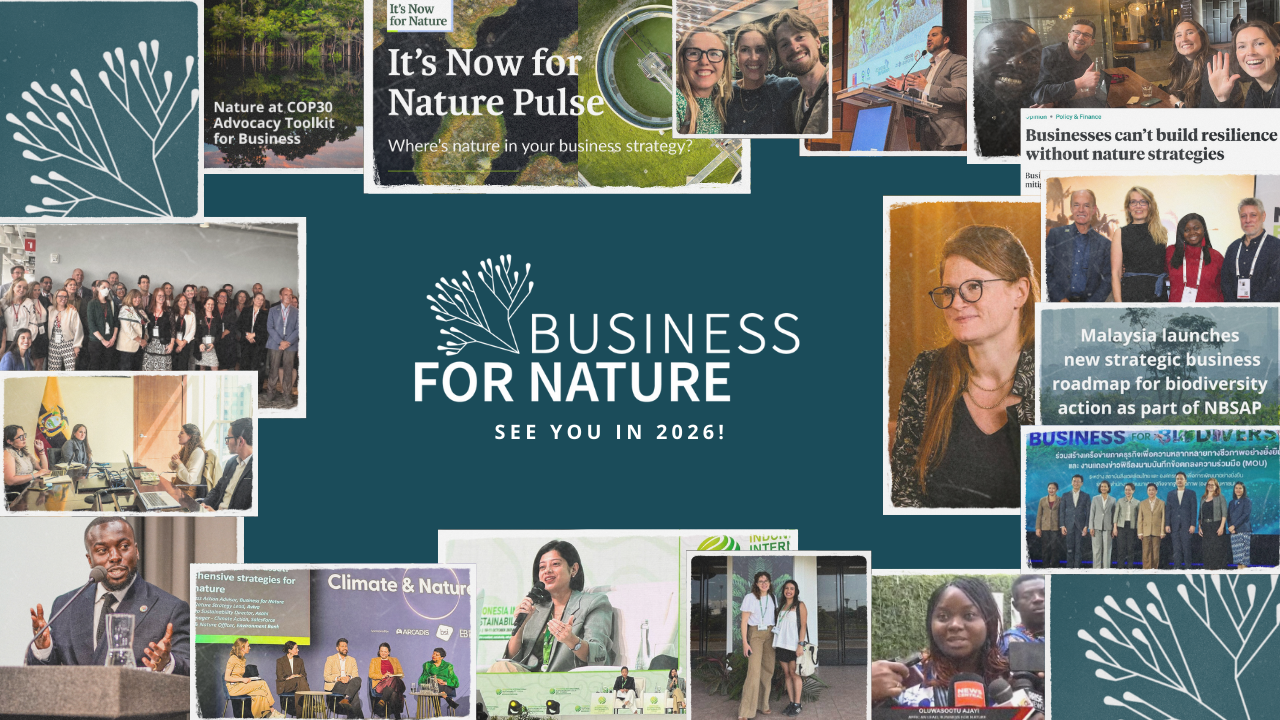 A year in review: Turning setbacks into renewed action