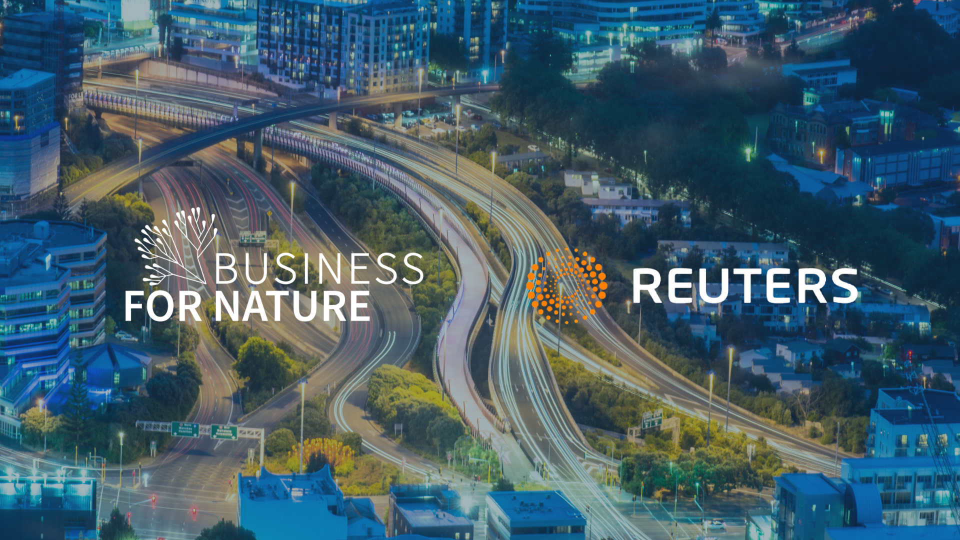Why nature should be the new bottom line for business in 2026