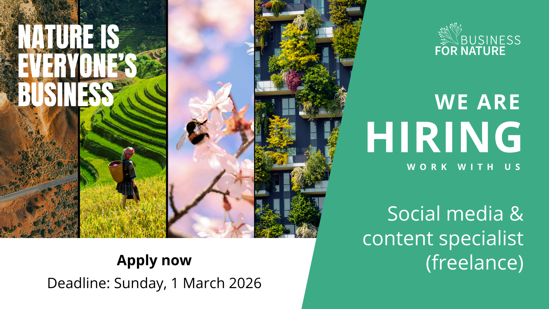 We're hiring a freelance Social media &amp; content specialist (remote)&nbsp;