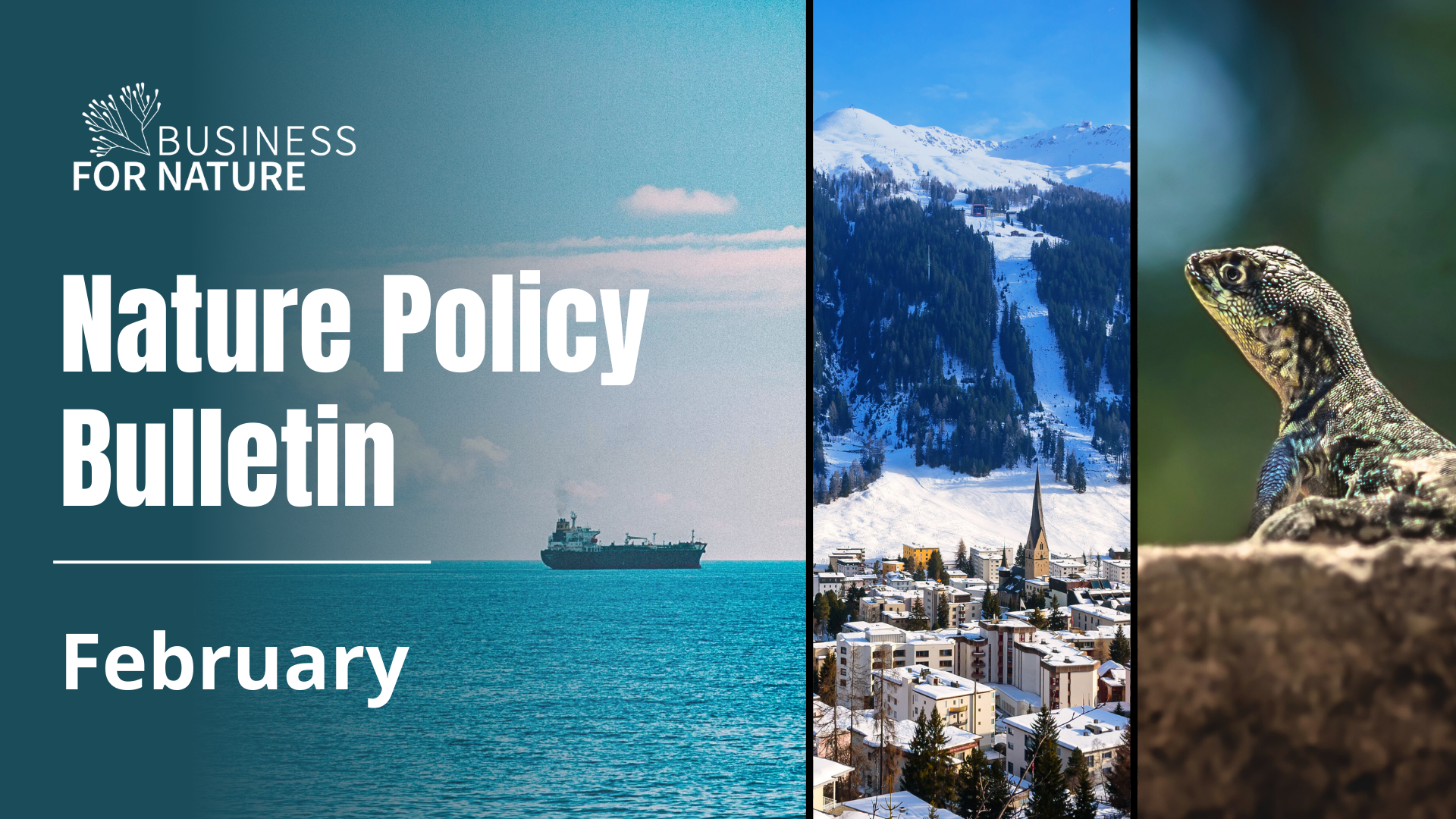 Nature Policy Bulletin - February 2025