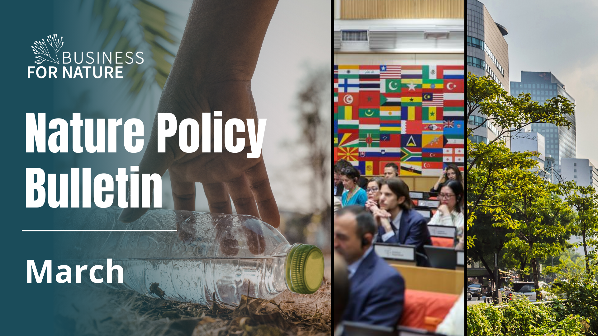 Nature Policy Bulletin - March 2026