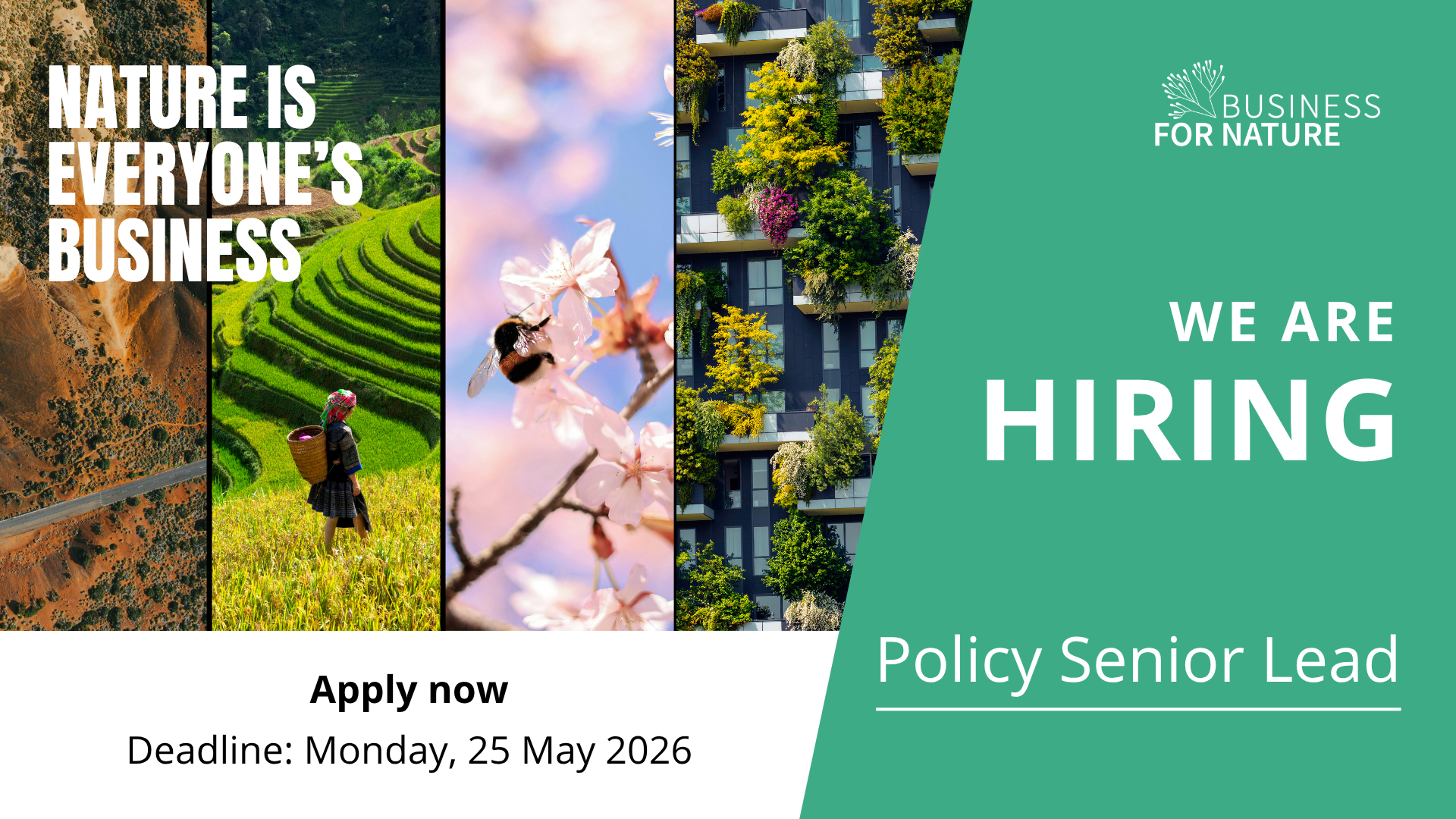 Business for Nature is hiring a Policy Senior Lead. Apply today! 