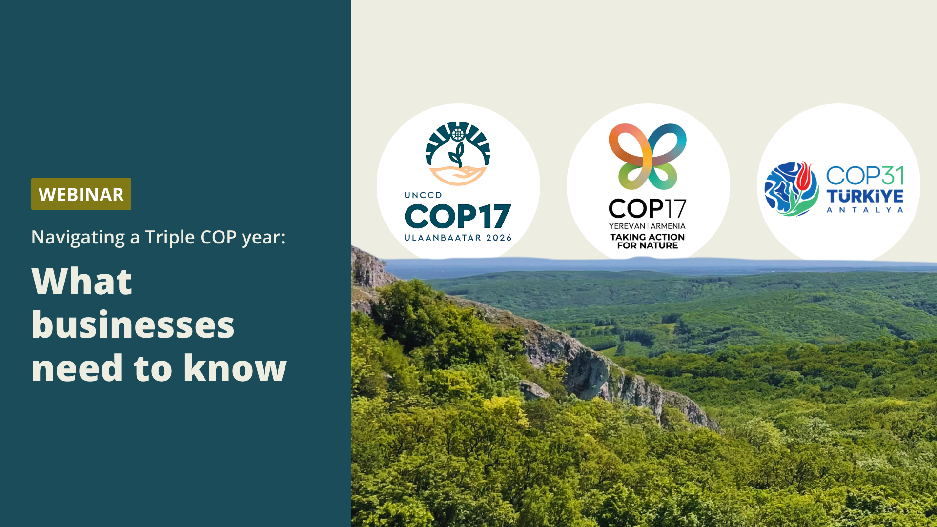  Triple COP webinar: what businesses need to know