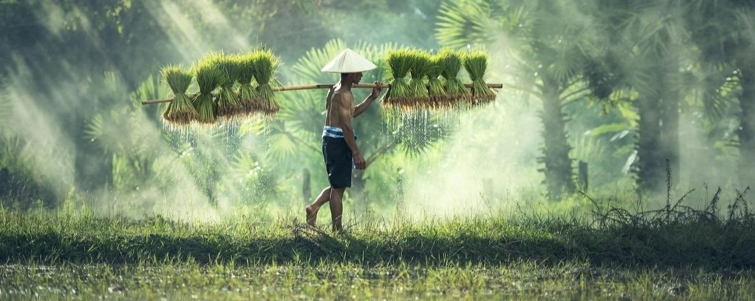 High Level Business Actions for Nature.jpg