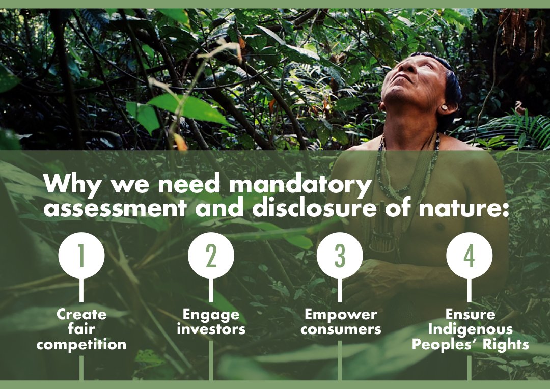 More than 330 businesses call on Heads of State to make nature