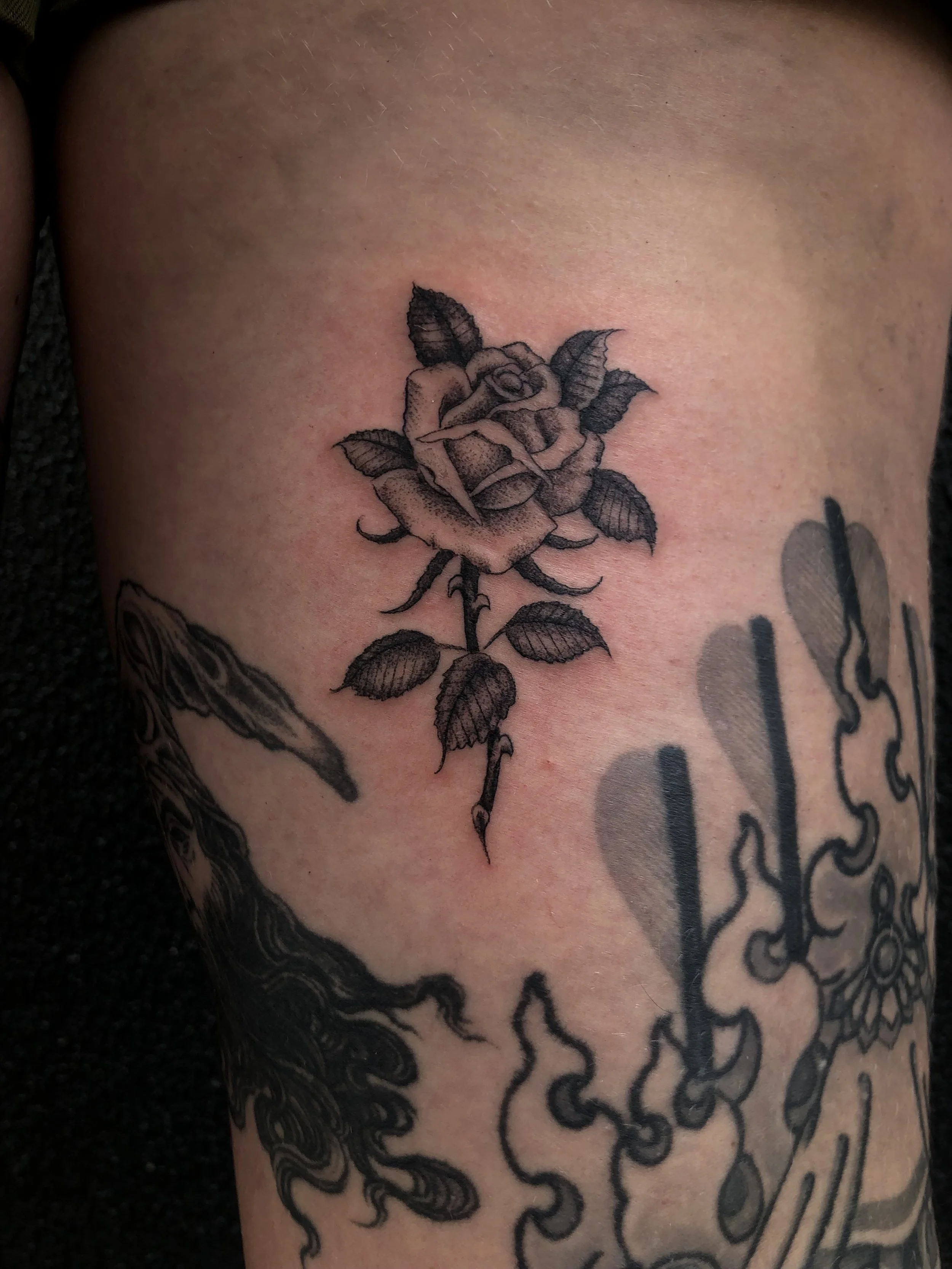 Black and gray tattoo of a detailed rose with leaves on the person's upper arm, made at Thanks Tattoo