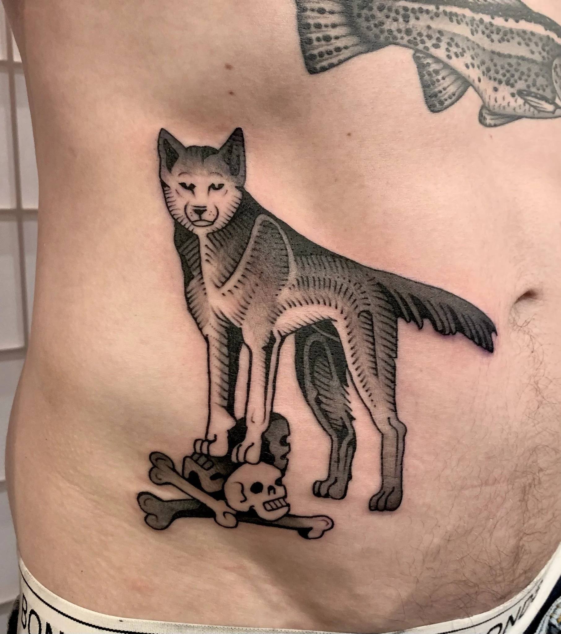 Tattoo of a wolf standing over a skull and bones on a person's side, made at Thanks Tattoo