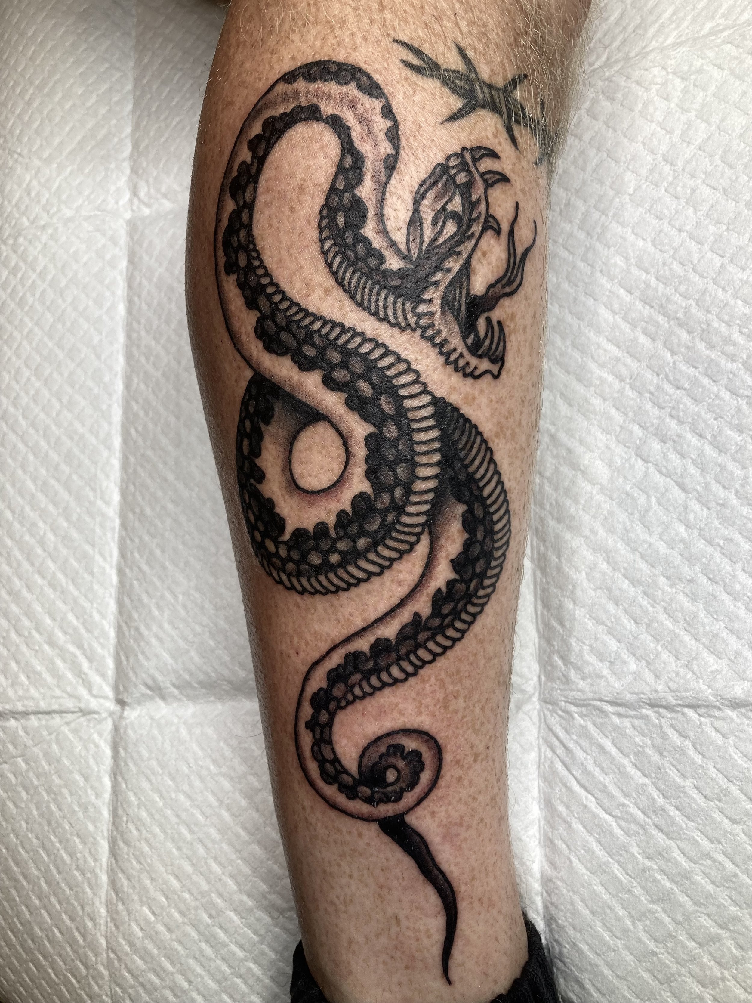 Black ink tattoo of a stylized octopus tentacle with a dragon head on top of the arm, made at Thanks Tattoo