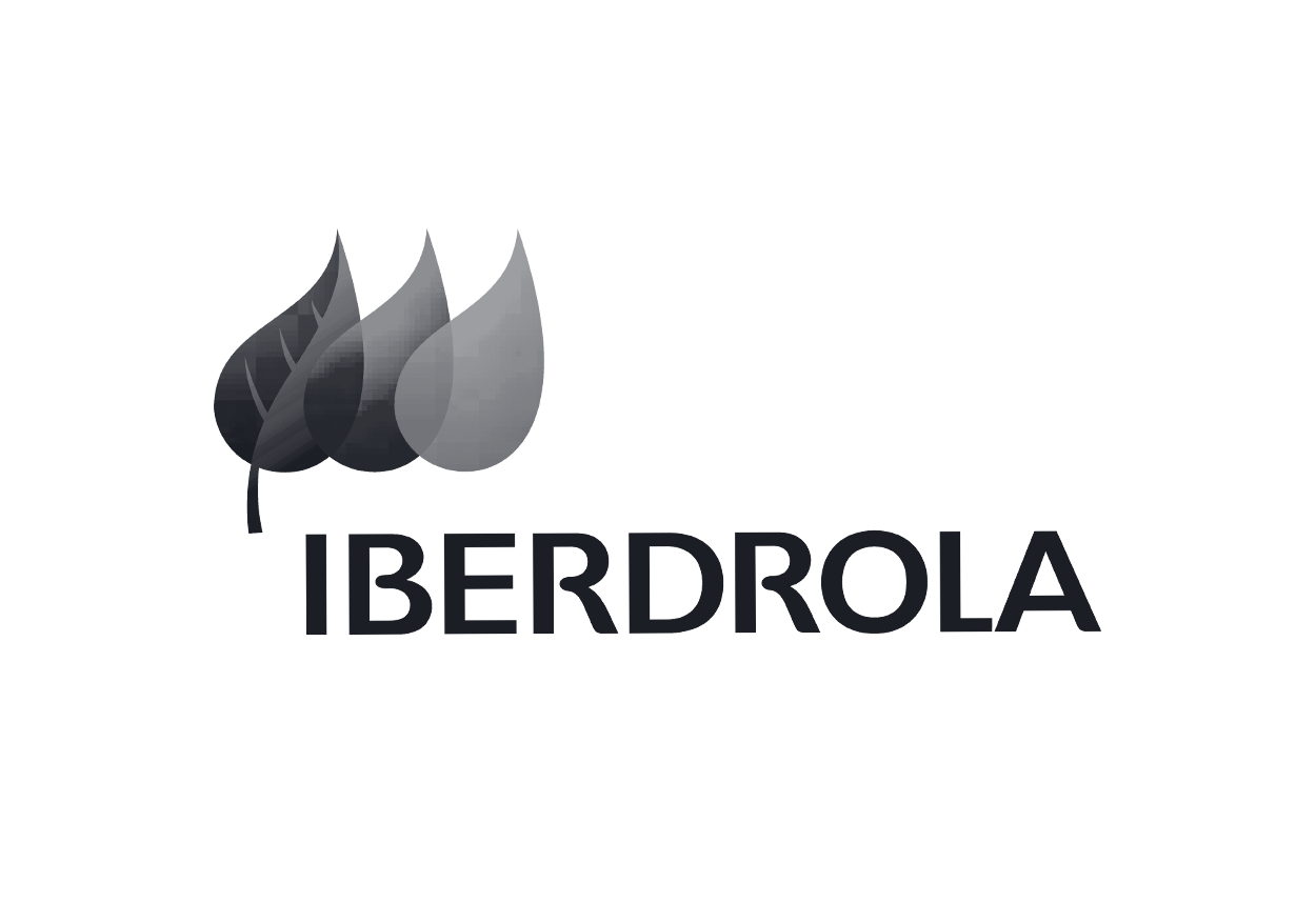 iberdrola 22.png