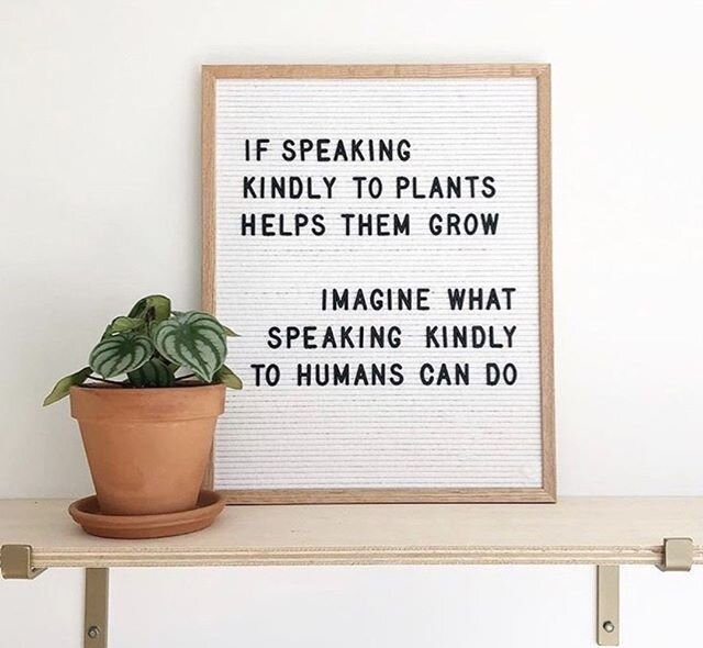 A nice reminder to us all that it's cool to be kind 🌿